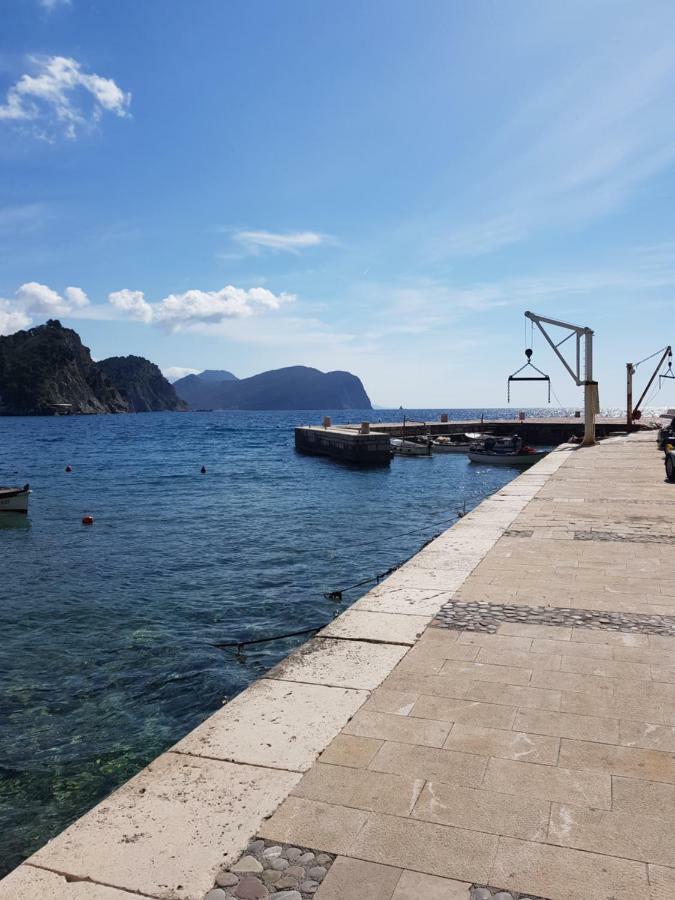 Montenegro Sea Pearl Apartments Petrovac Dış mekan fotoğraf