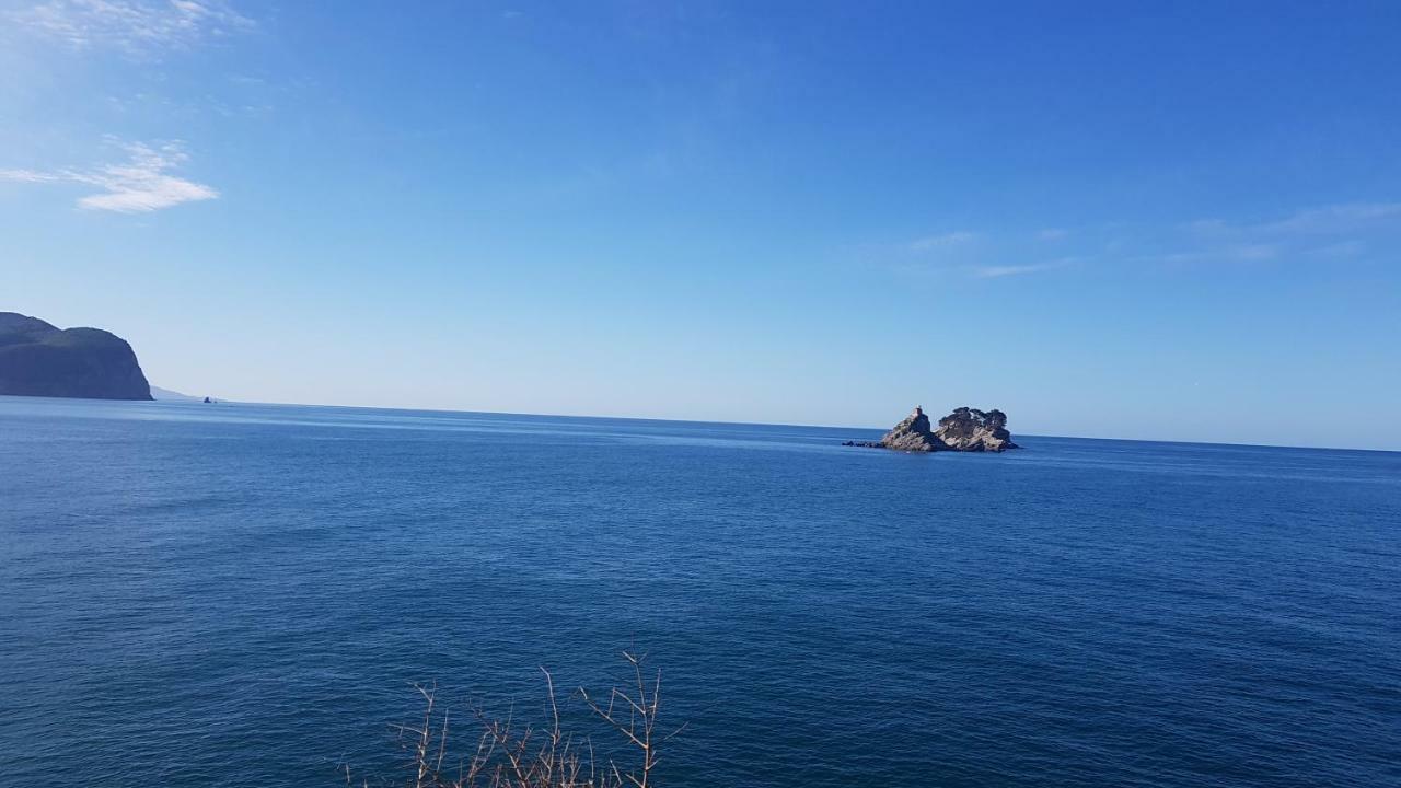 Montenegro Sea Pearl Apartments Petrovac Dış mekan fotoğraf