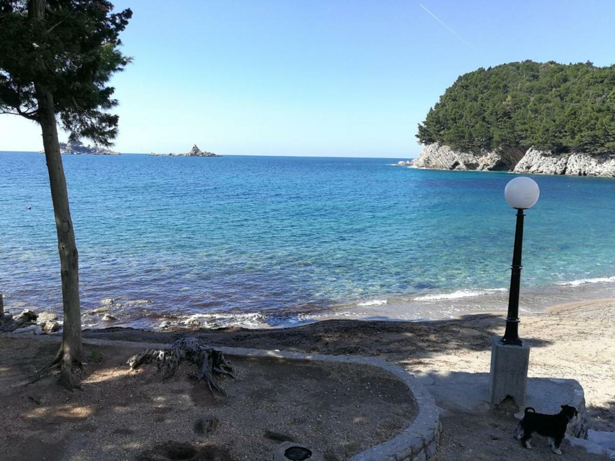 Montenegro Sea Pearl Apartments Petrovac Dış mekan fotoğraf